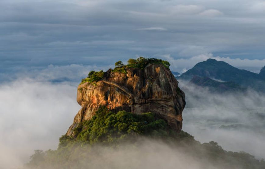 Dream Path of Sri Lanka